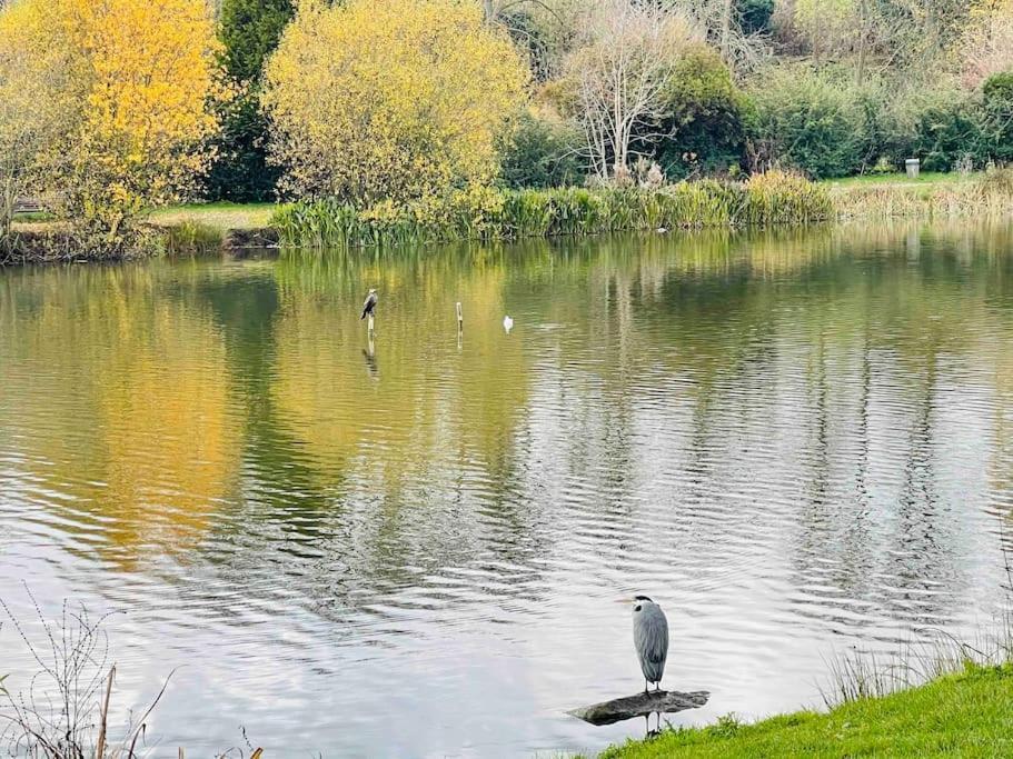 Masion Belle Vue Apartment Sarcelles Luaran gambar
